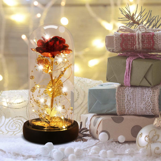 Enchanted Rose Dome™ – Beauty That Lasts Forever