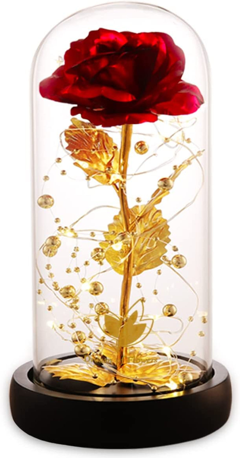  Enchanted Rose Dome™ – Beauty That Lasts Forever