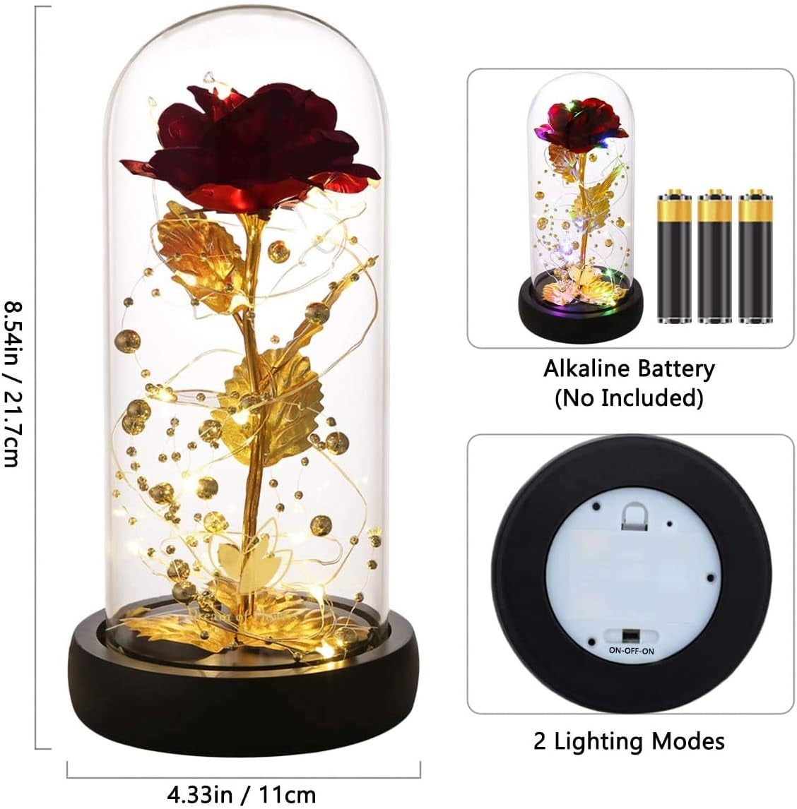  Enchanted Rose Dome™ – Beauty That Lasts Forever