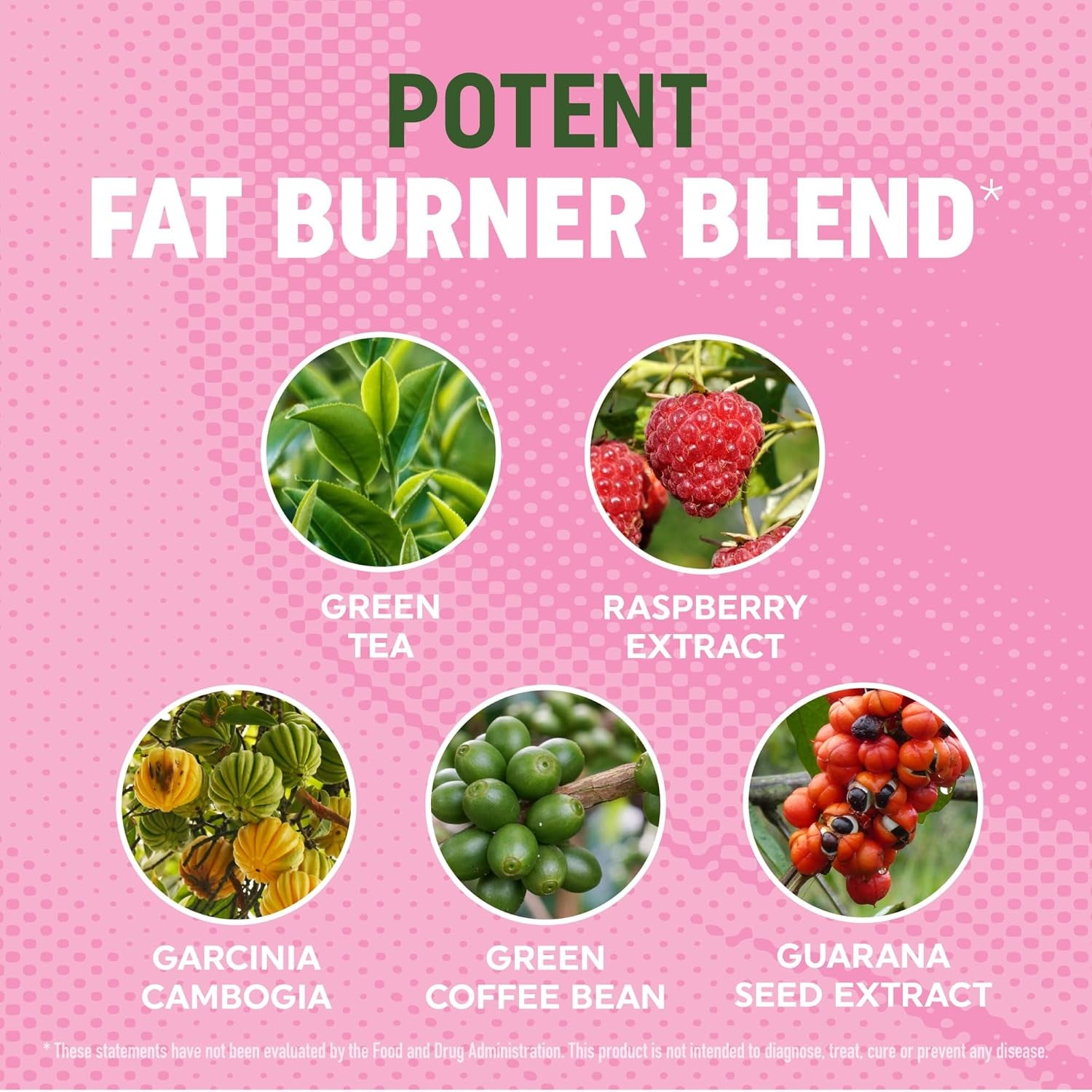 Fat Burner Gummies – Delicious Metabolism & Energy Support for Women