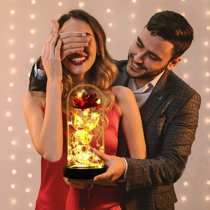  Enchanted Rose Dome™ – Beauty That Lasts Forever